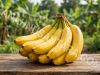 Manfaat Buah Pisang bagi Kesehatan Tubuh