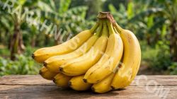 Manfaat Buah Pisang bagi Kesehatan Tubuh
