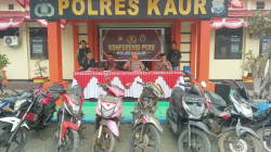 Polres Kaur Bekuk 2 Pencuri Motor Lintas Provinsi, 8 Unit BB Diamankan